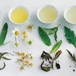 A Guide to the Herbs in Your Tea