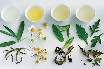 A Guide to the Herbs in Your Tea