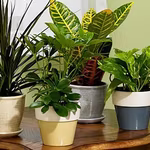 Tips to Improve Indoor Air Quality in Winter