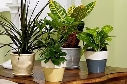 Tips to Improve Indoor Air Quality in Winter