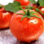 Understanding Lycopene — A Powerful Skin Health Nutrient