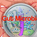 Prebiotics and Probiotics — The Key to Your Gut Health