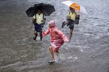 Stay Healthy This Monsoon