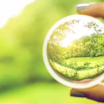 These entrepreneurs believed in their vision, you should too