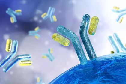 Body Immunity