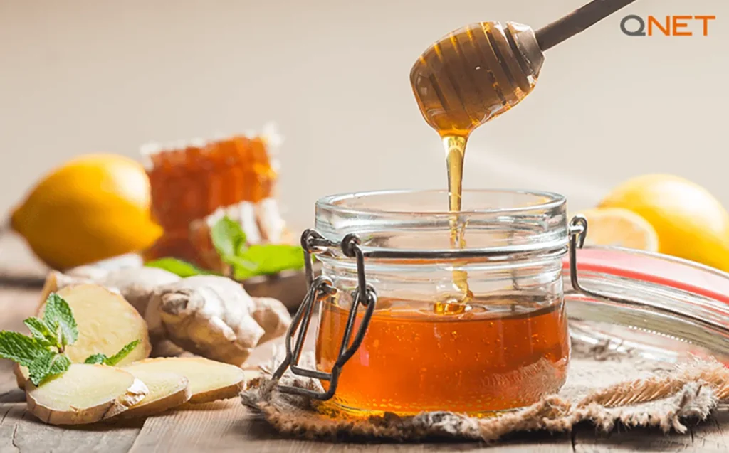 Nutriplus Monofloral Honey with dripper