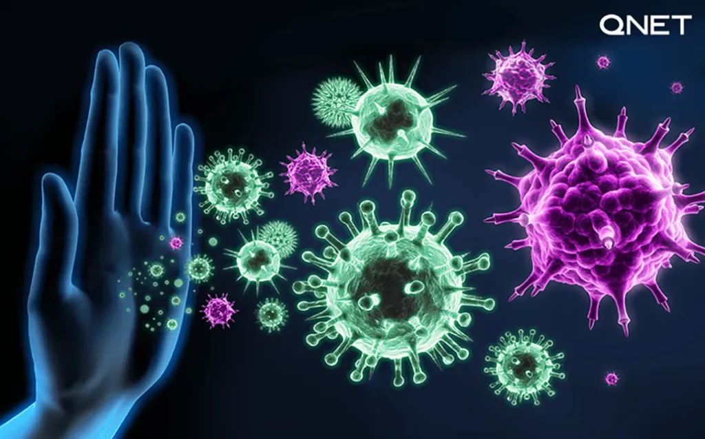 Depiction of the human immune system stopping virus and bacteria in our body