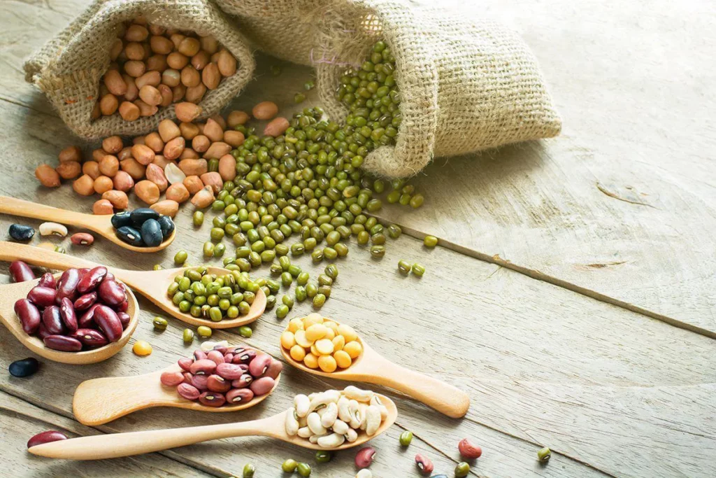 High-fibre foods: Legumes and Beans