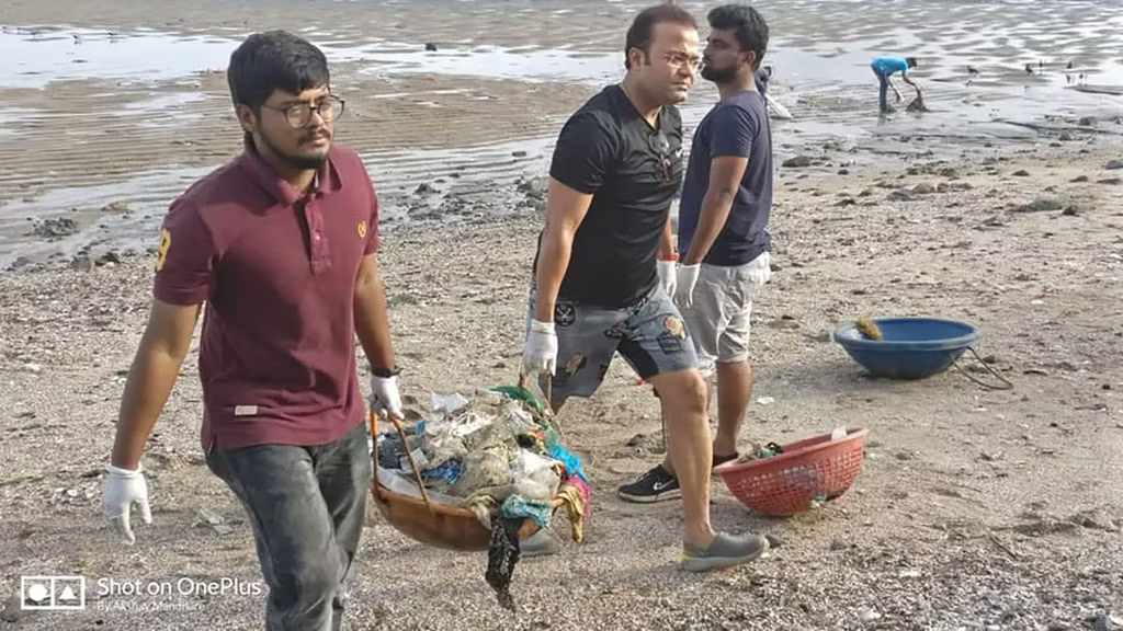 Beach Cleaning