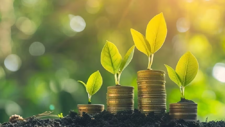 Follow the Market to Help Grow Your Money