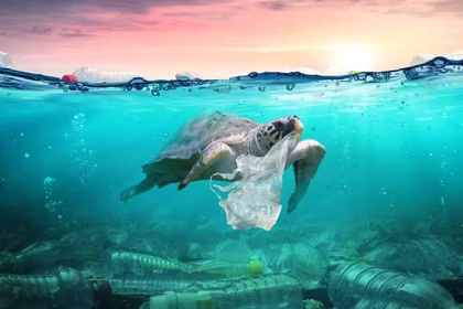Plastic Free July